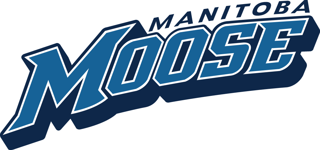 Manitoba Moose 2015-Pres Wordmark Logo iron on transfers for clothing